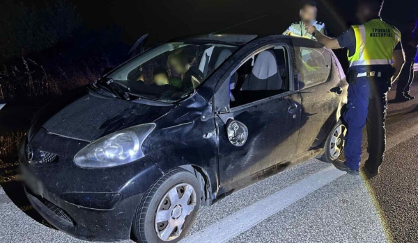 Τροχαίο στην Καστοριά: Η οδηγός ΙΧ συγκρούστηκε με μεγαλόσωμη αρκούδα