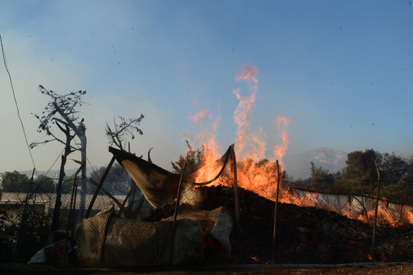 Πολύ υψηλός κίνδυνος πυρκαγιάς σήμερα για τρεις περιφέρειες