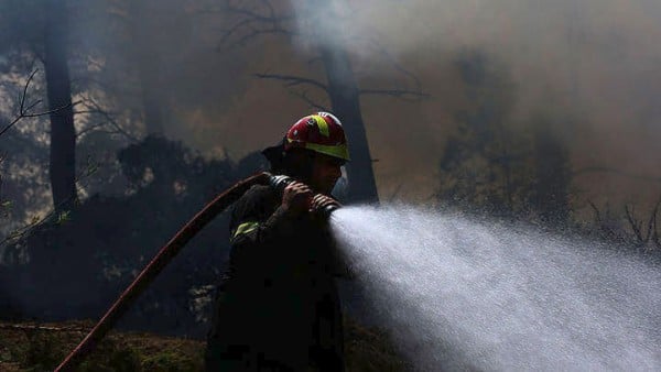 Νέα φωτιά στο Μαρκόπουλο Αττικής