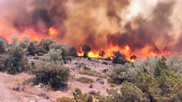 Hot - Dry - Windy: Γιατί κινδυνεύουμε ξανά από μεγάλες φωτιές