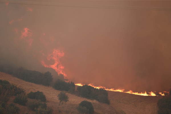 Ατελείωτος εφιάλτης φωτιάς στην Αλεξανδρούπολη - Συνεχείς εκκενώσεις οικισμών σε Έβρο, Ροδόπη