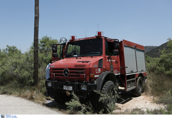 Φωτιά στον Σχοινιά, κινητοποίηση της πυροσβεστικής