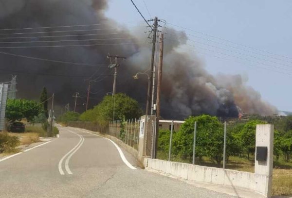 Φωτιά στην Ναύπακτο: Εκτροπή κυκλοφορίας σε Ιόνια Οδό, έκλεισε η Αντιρρίου Ναυπάκτου