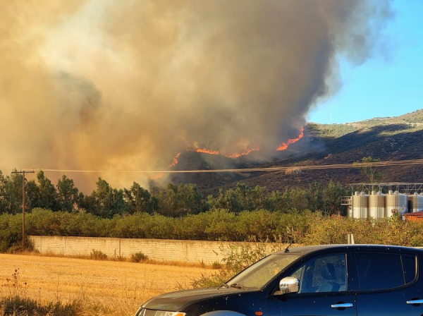 Φωτιά στις Πετριές: «Καμία έκρηξη ανεμογεννήτριας στη νότια Εύβοια» τονίζει η ΕΛΕΤΑΕΝ