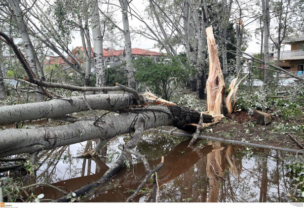 Χαλκιδική: Απαγόρευση κυκλοφορίας σε περιοχές λόγω υψηλού κινδύνου πυρκαγιάς