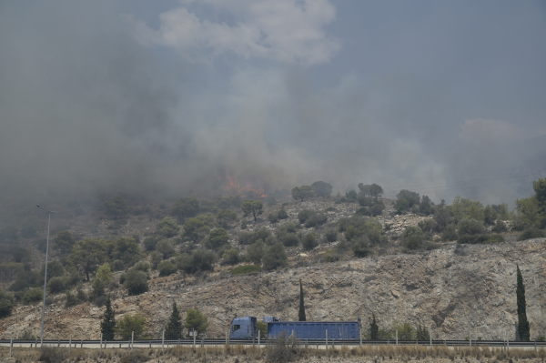 Μαίνονται μέχρι αυτη την ώρα οι φωτιές σε Δομοκό και Σαμοθράκη (βίντεο)