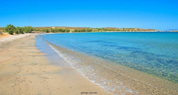 Λήμνος: Καθαρές οι παραλίες - Ανέπαφο το θαλάσσιο οικοσύστημα