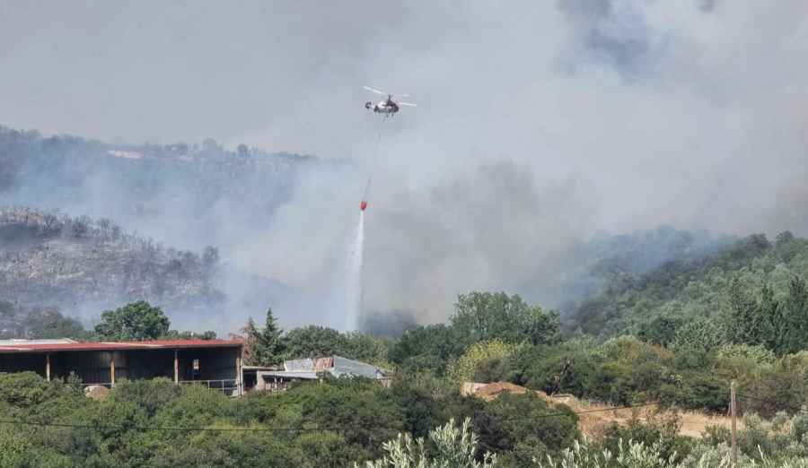 Ανεξέλεγκτη μαίνεται η φωτιά στη Ροδόπη: Καίει κοντά σε κτηνοτροφικές μονάδες