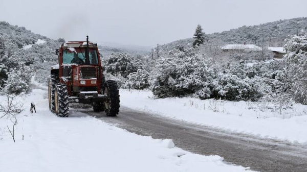 Άρτα: Επιχείρηση διάσωσης 48χρονου πυροσβέστη, δύσκολη η προσέγγιση στο σημείο