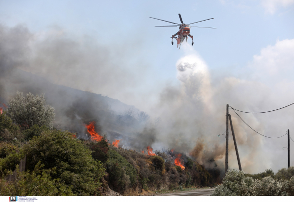 φωτογραφία: ΙΝΤΙΜΕ