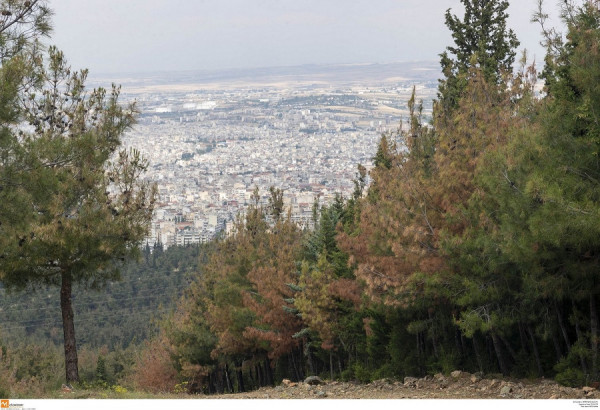 Κίνδυνος φωτιάς: Απαγόρευση κυκλοφορίας σε εθνικούς δρυμούς, δάση και ευπαθείς περιοχές στην Αττική