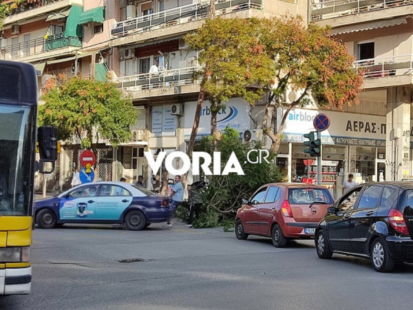 voria.gr