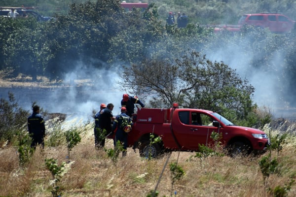 Ιτέα: Αναζωπυρώθηκε η φωτιά, μάχη με νέο πύρινο μέτωπο στον Προφήτη Ηλία