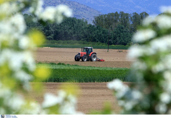 ΟΠΕΚΕΠΕ: Από το μεσημέρι οι πληρωμές για τις αγροτικές επιδοτήσεις, χιλιάδες πάνε ταμείο