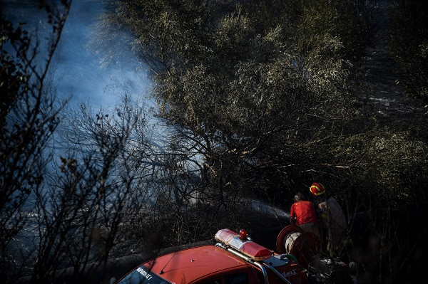 Πυρκαγιά σε δασική έκταση στη δυτική Αχαΐα