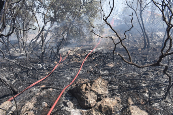 Χανιά: Σύλληψη 36χρονου για τη φωτιά στον Άστρικα του Δήμου Πλατανιά