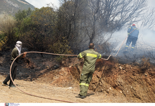 Φωτιά τώρα σε δασική έκταση στον Ασπρόπυργο, πνέουν δυνατοί άνεμοι