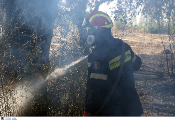 Οριοθετήθηκε η φωτιά στον Σχοινιά, γρήγορη παρέμβαση της πυροσβεστικής