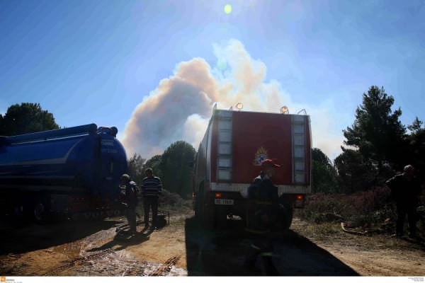 Συναγερμός στην Πυροσβεστική: Και αύριο πολύ υψηλός ο κίνδυνος πυρκαγιάς