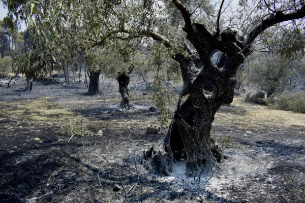 Πέντε κοινότητες της Κορινθίας εντάχθηκαν στις πρόνοιες για τις αποζημιώσεις από τις πυρκαγιές του 2021