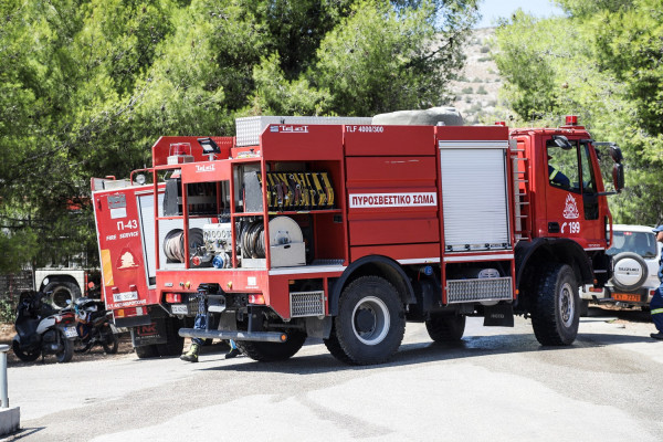 Απίστευτο: Πολικές θερμοκρασίες στη χώρα, αλλά και πυρκαγιά σε δάσος στην Κεφαλονιά