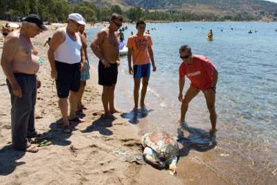 Και χωρίς άδεια ταχύπλοου η συμμετοχή σε εξετάσεις για άδεια ναυαγοσώστη