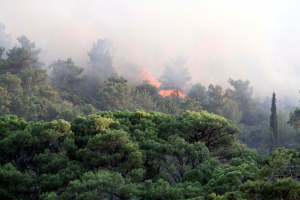 Υπό έλεγχο η φωτιά στη Ρόδο, έκαψε 100 στρέμματα δάσους