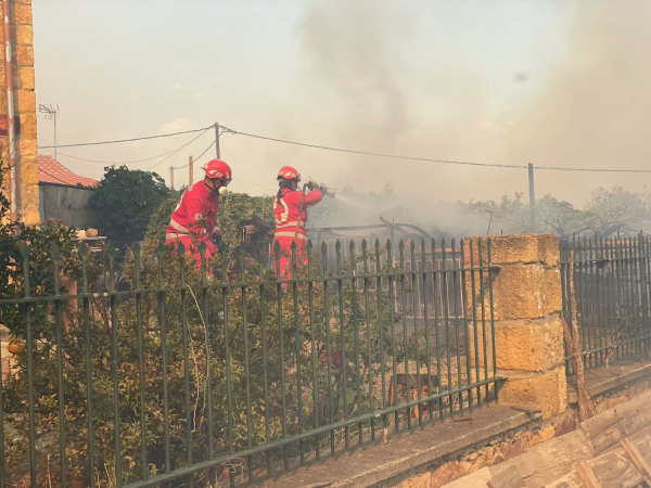 Καταστροφή στην Αλεξανδρούπολη - Η φωτιά βρίσκεται μια... ανάσα από τα πρώτα σπίτια