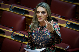 Η Πέτη Πέρκα πρόεδρος της ΚΟ της Νέας Αριστεράς