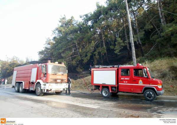 Φωτιά στην Ελασσόνα, συναγερμός στην Πυροσβεστική