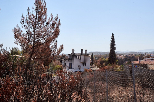 Το Αστεροσκοπείο Αθηνών διαψεύδει κατηγορηματικά το δημοσίευμα για τοξική ρύπανση στο Μάτι