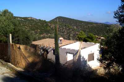 Δασικό τέλος για την νομιμοποίηση ακινήτων