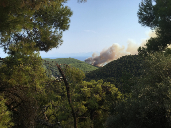 Φωτιά ξέσπασε στη Σκόπελο μετά από κεραυνό