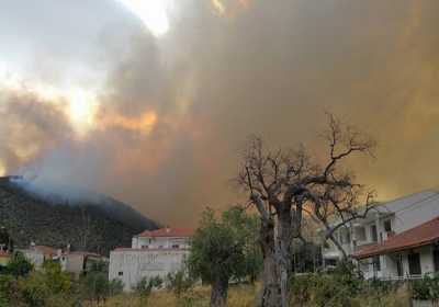 ΥΠΕΝ: Ανακοινώθηκαν μέτρα για την πυρόπληκτη Θάσο