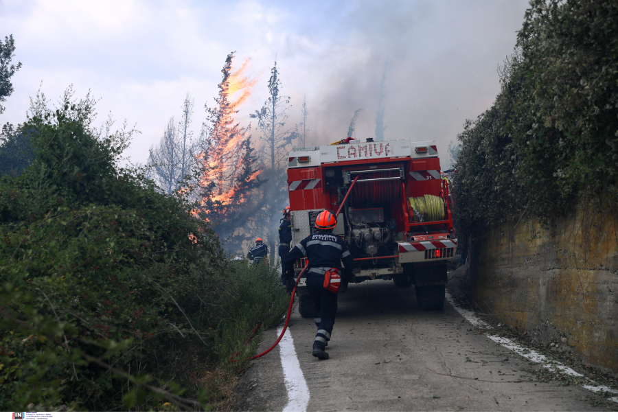 Φωτιά σε εξέλιξη στην Αρκαδία, καίει δασική έκταση