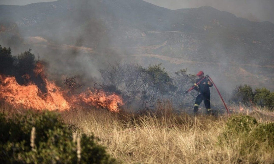 Φωτιά τώρα στην Κάρυστο