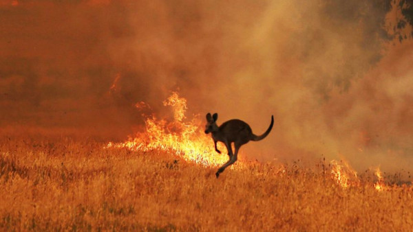 Photo: ABC News: James Carmody