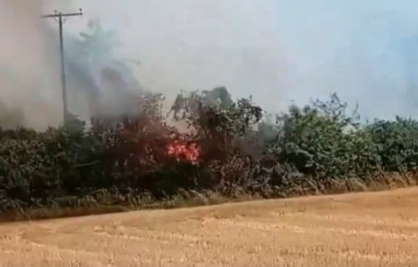 Φωτιά στο Σουφλί: Καίει στην Κορνοφωλιά κοντά στο δάσος της Δαδιάς - Δείτε βίντεο