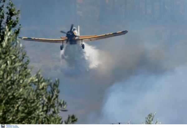 Μεγάλη δασική πυρκαγιά στην Ηλεία