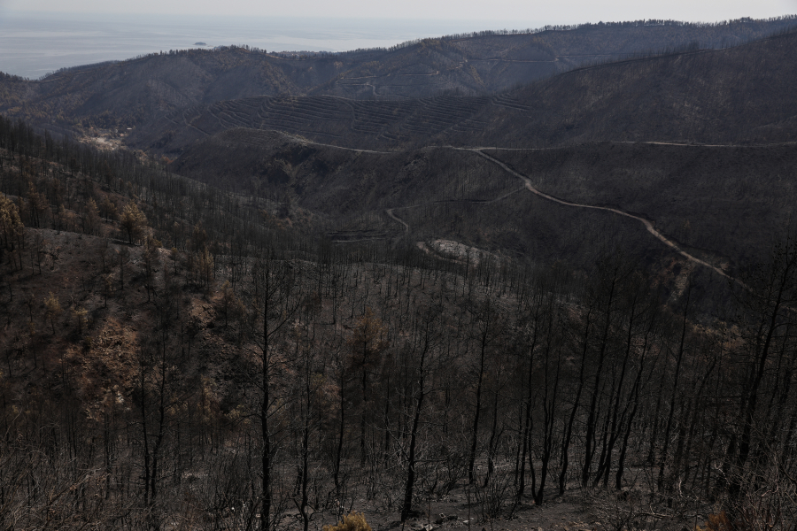 ΔΕΗ: Ορίζεται ανάδοχος αποκατάστασης στην Εύβοια με απόφαση του υπουργείου Ανάπτυξης