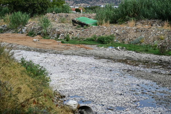 SOS εκπέμπει η λίμνη Κάρλα - Εικόνες φρίκης