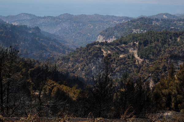 Φωτιά στην Κορινθία: Εικόνα ύφεσης, κόπασαν οι άνεμοι, συνεχίζεται η μάχη