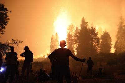 SOS για φωτιές: Σε κρίσιμη κατάσταση τα δάση μας