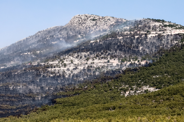 Meteo: Κάηκαν περισσότερα από 1.200.000 στρέμματα έως την Τετάρτη - Ανείπωτη καταστροφή ρεκόρ