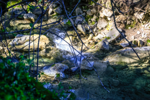 Μυστήριο για τον τρόπο που έχασε την ζωή της η 18χρονη στους καταρράκτες Δερματά - Είχε πάει για φωτογραφίες