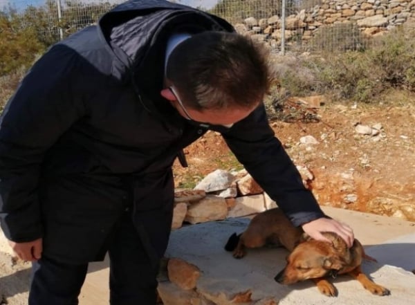 Μαζικό πρόγραμμα στειρώσεων για αδέσποτα ζώα συντροφίας, ύψους 5 εκατ. ευρώ, εξήγγειλε ο Στέλιος Πέτσας