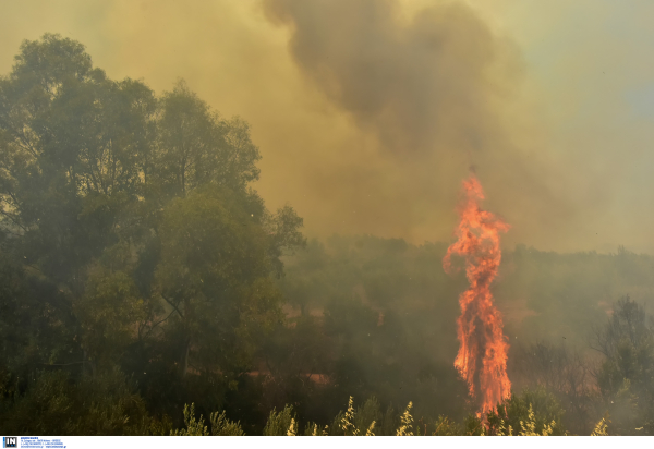 Ανεξέλεγκτη φωτιά τώρα στην Ηλεία, εστάλη 112