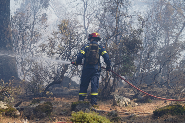 Πολύ υψηλός κίνδυνος πυρκαγιάς την Παρασκευή σε Έβρο και Ροδόπη