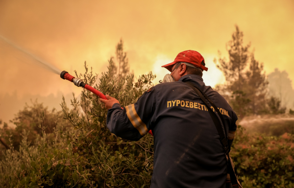 Φωτιά στην Τριανταφυλλιά Σερρών - Μήνυμα από το 112