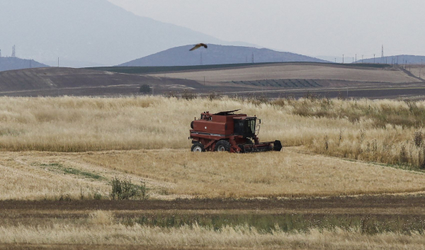 Θήβα: Αίσιο τέλος στην περιπέτεια 59χρονου που εξαφανίστηκε - Εντοπίστηκε σε χωράφι